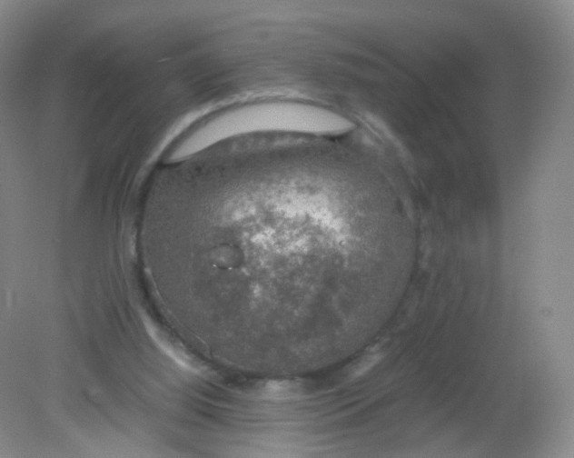 X0000081630060200702051309