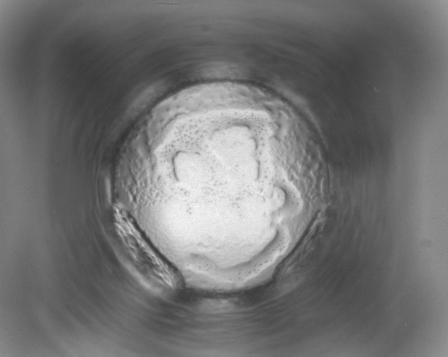 X0000081630061200702051309