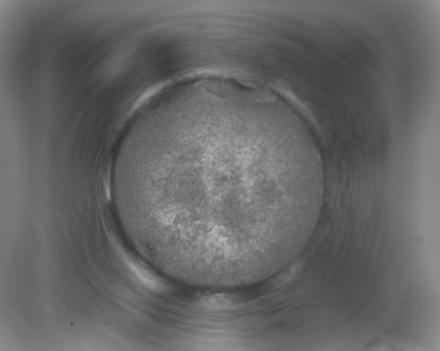 X0000081630062200702051309