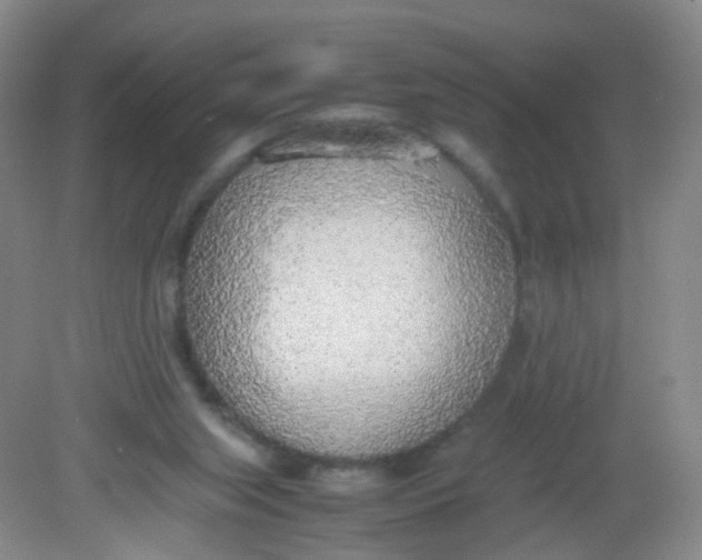 X0000081630063200702051309