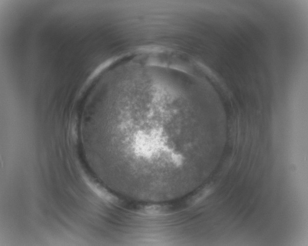 X0000081630064200702051309