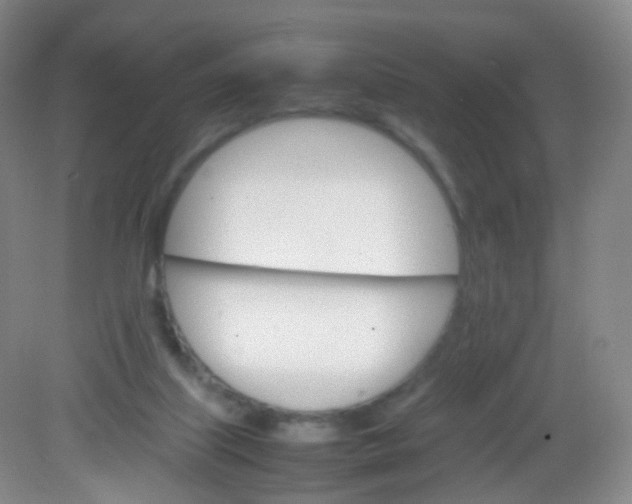 X0000081630067200702051309