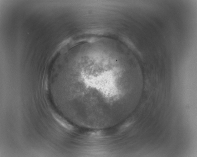 X0000081630068200702051309