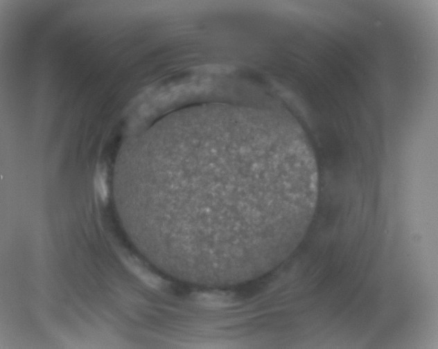 X0000081630069200702051309