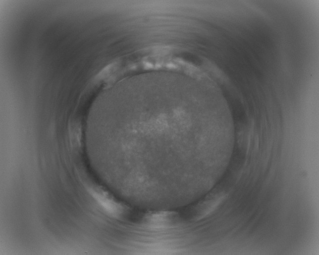 X0000081630072200702051309