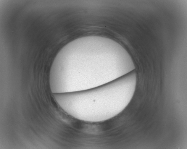 X0000081630073200702051309