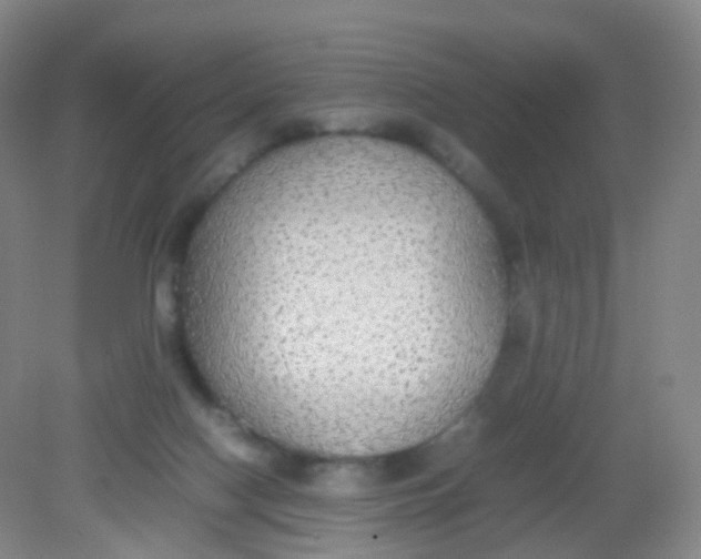 X0000081630074200702051309