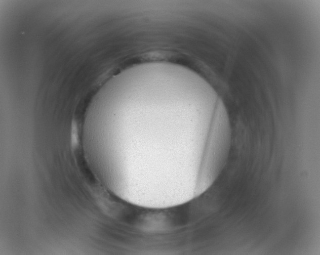 X0000081630075200702051309