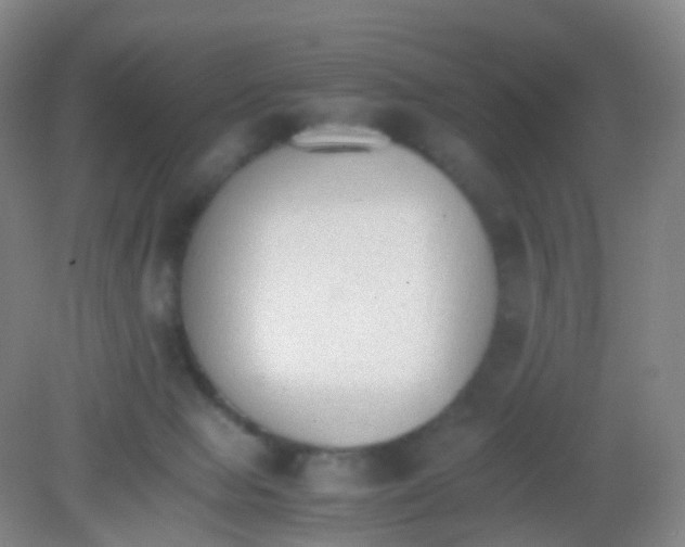 X0000081630077200702051309