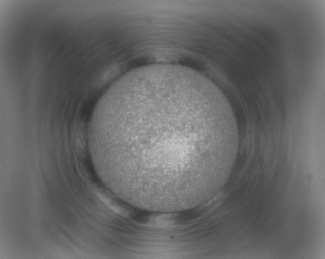 X0000081630078200702051309