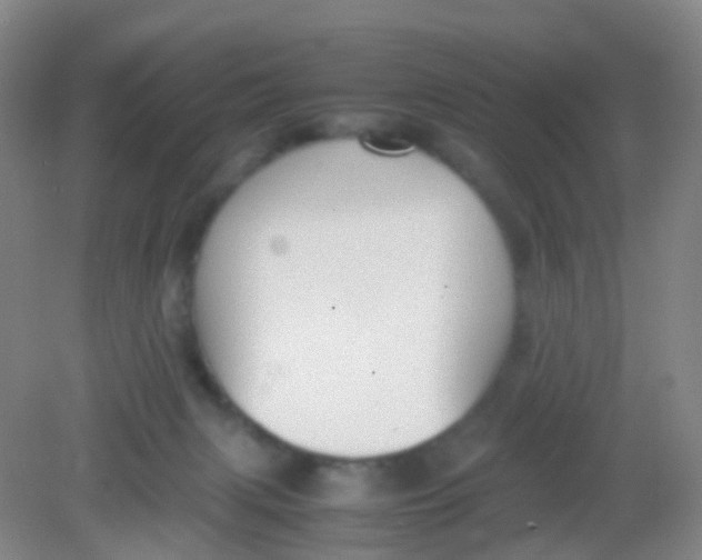 X0000081630079200702051309