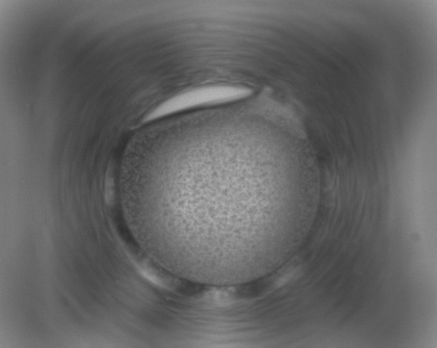 X0000081630080200702051309