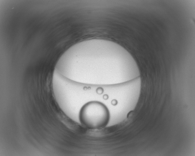 X0000081630082200702051309