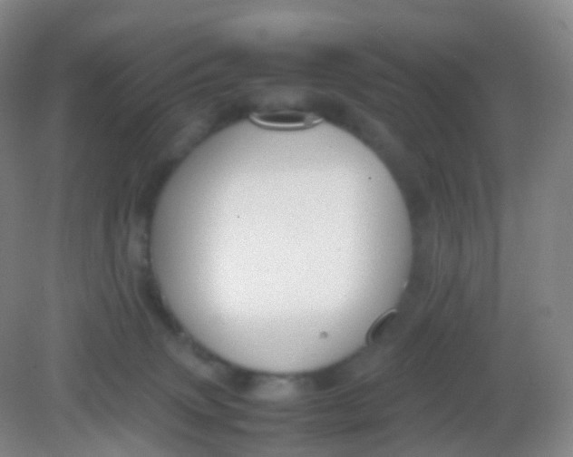 X0000081630083200702051309