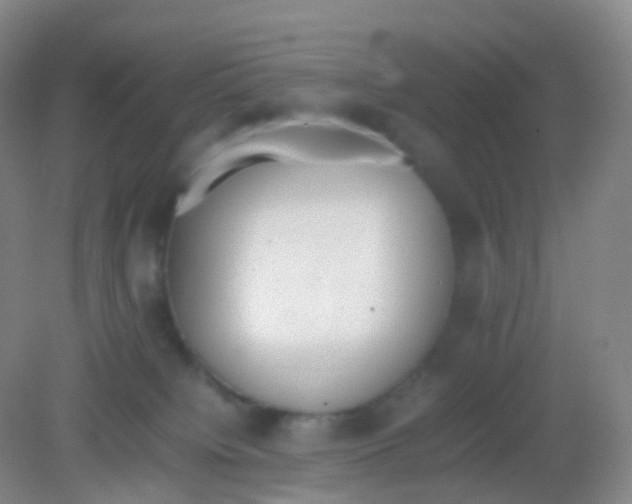 X0000081630084200702051310