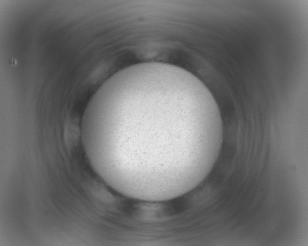 X0000081630085200702051310