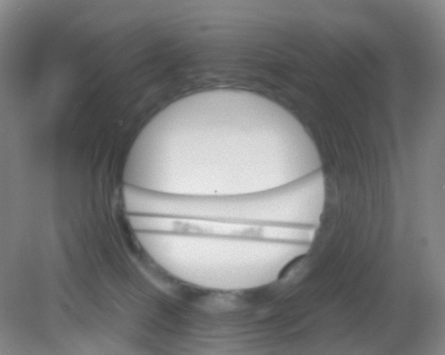 X0000081630086200702051310