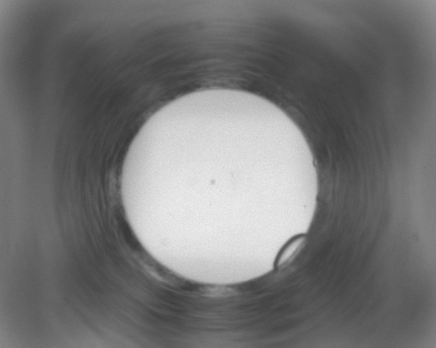 X0000081630087200702051310