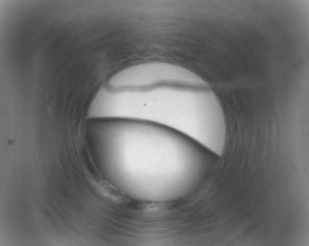 X0000081630088200702051310