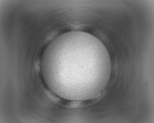 X0000081630090200702051310