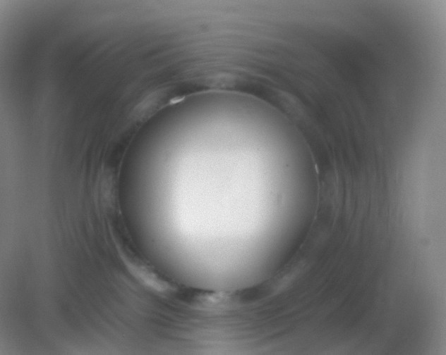 X0000081630092200702051310