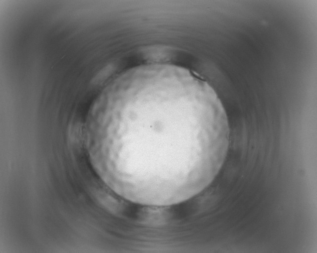 X0000081630093200702051310