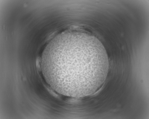 X0000081630094200702051310