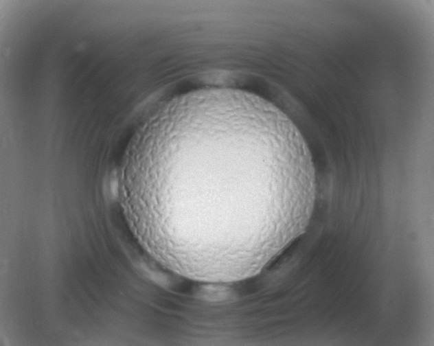 X0000081630095200702051310