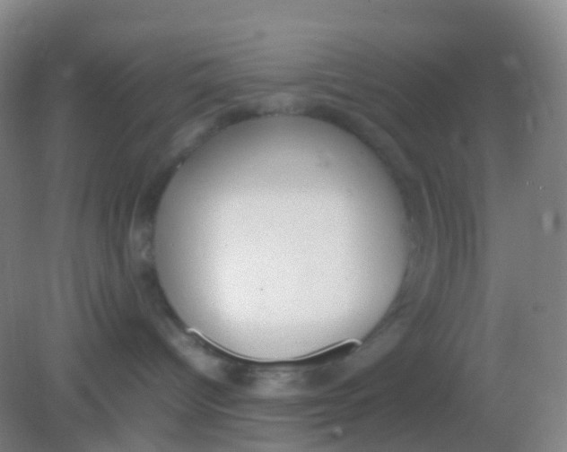 X0000081630096200702051310