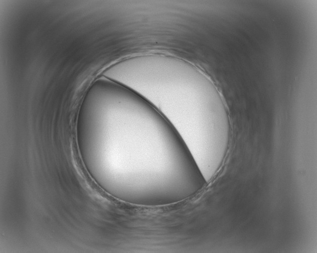 X0000081630097200702051309