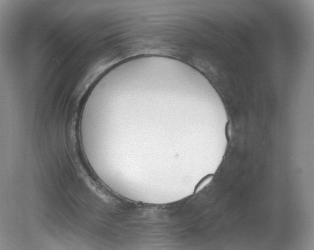 X0000081630098200702051309