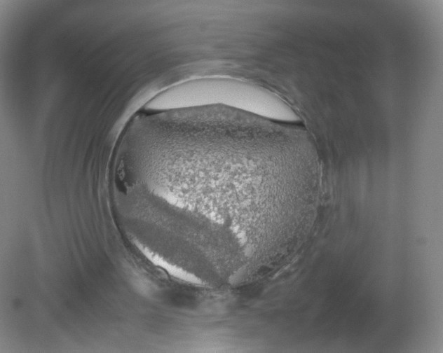 X0000081630099200702051309