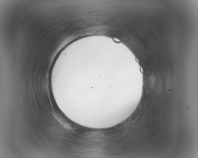 X0000081630100200702051309