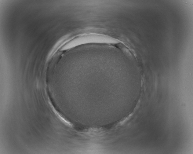 X0000081630101200702051309