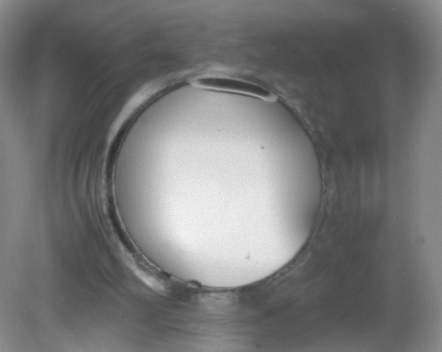 X0000081630102200702051309