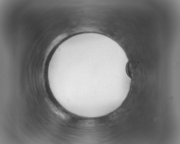 X0000081630104200702051309