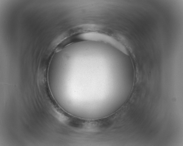 X0000081630105200702051309