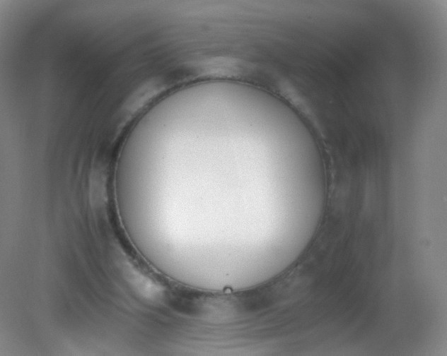 X0000081630106200702051309