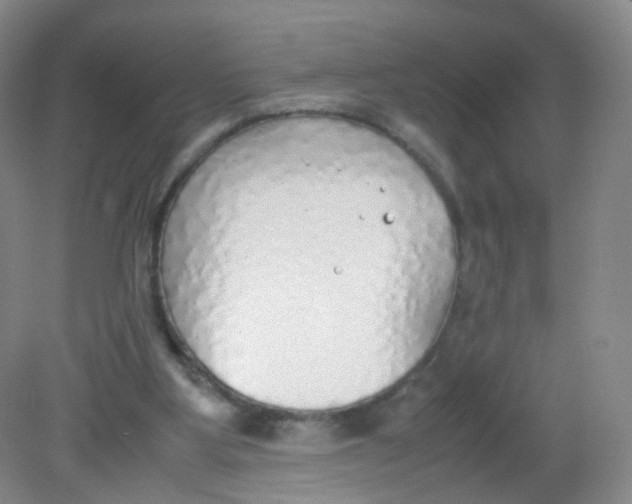 X0000081630107200702051309