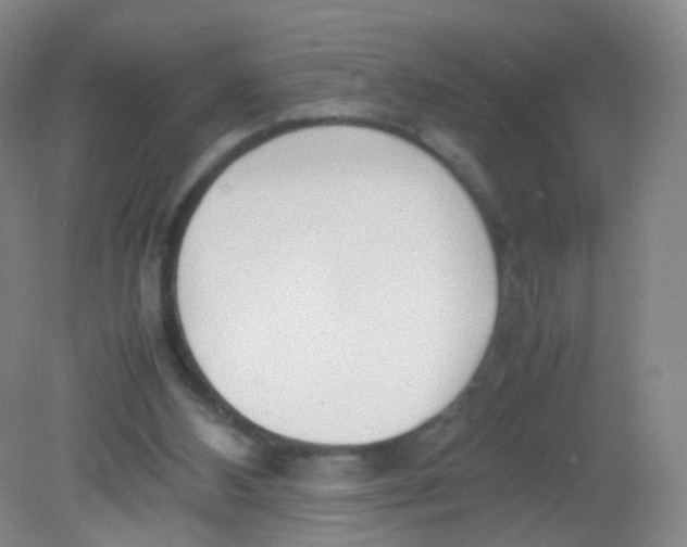 X0000081630108200702051309