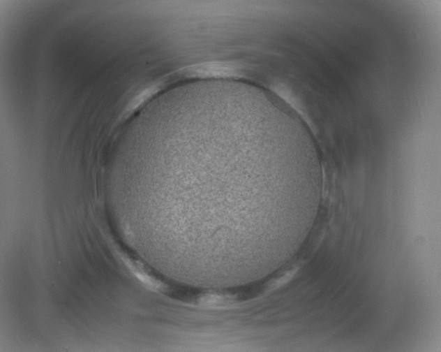 X0000081630109200702051309