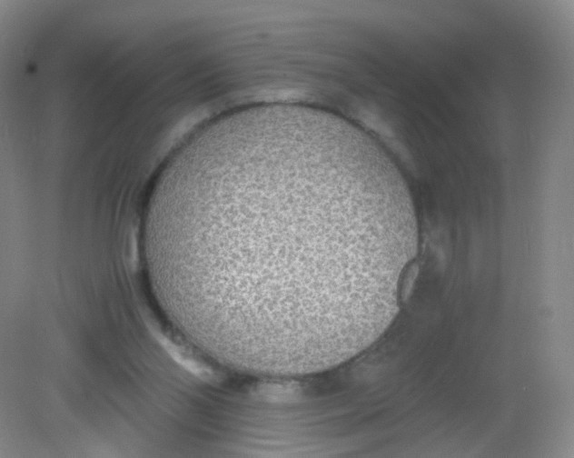 X0000081630110200702051309