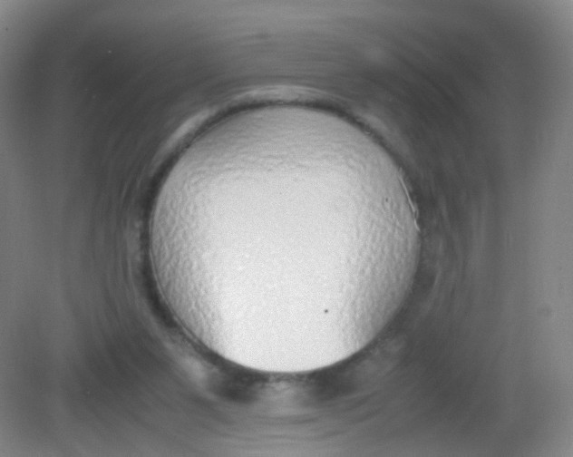 X0000081630111200702051309