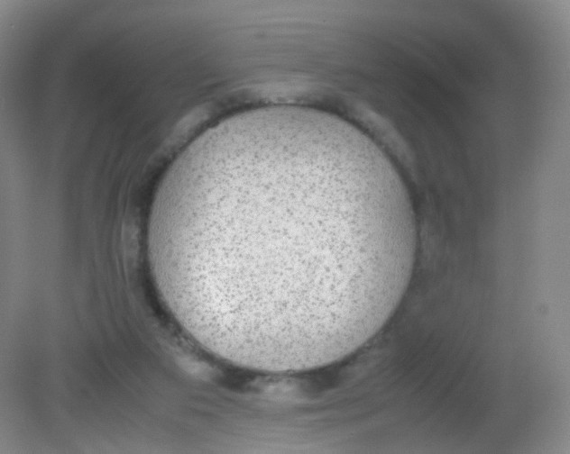 X0000081630113200702051309