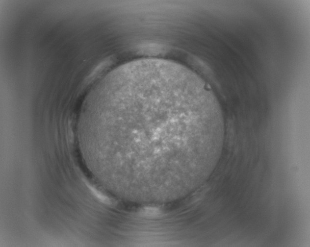 X0000081630114200702051309