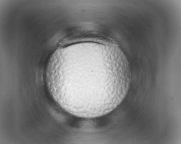 X0000081630115200702051309