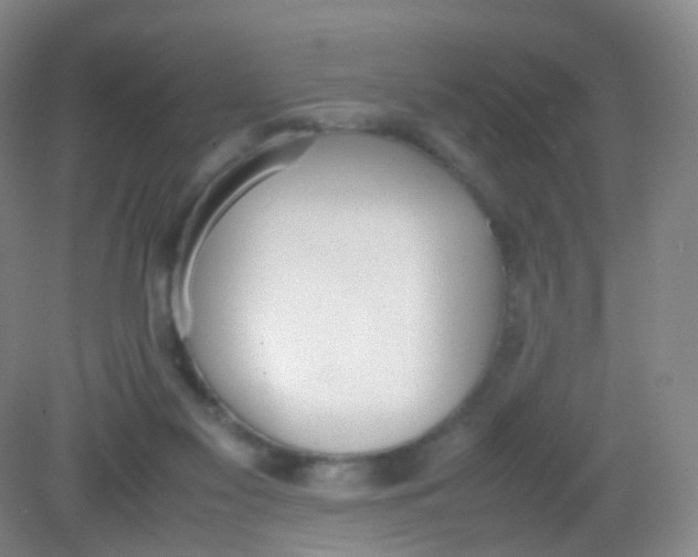 X0000081630117200702051309