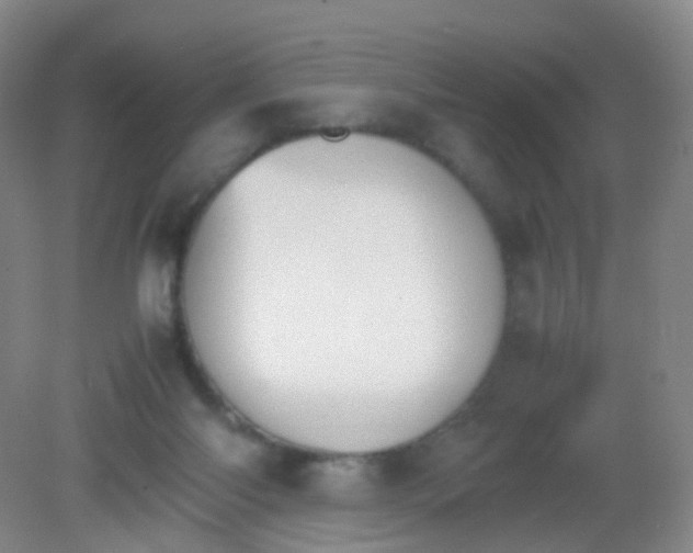 X0000081630118200702051309