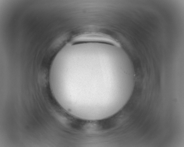 X0000081630119200702051309