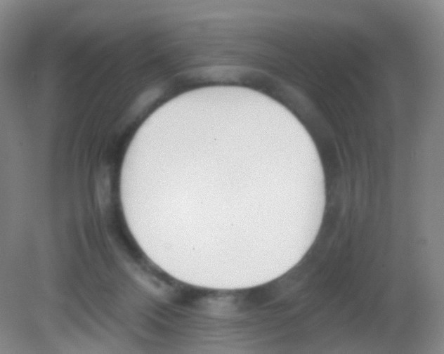 X0000081630120200702051309